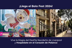 Bolo Fest 2024