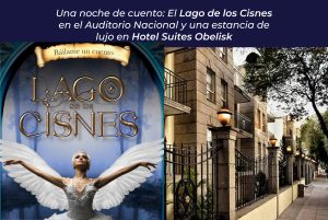 el lago de los cisnes en el auditorio nacional