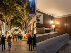 evento de luces en polanco decembrinas